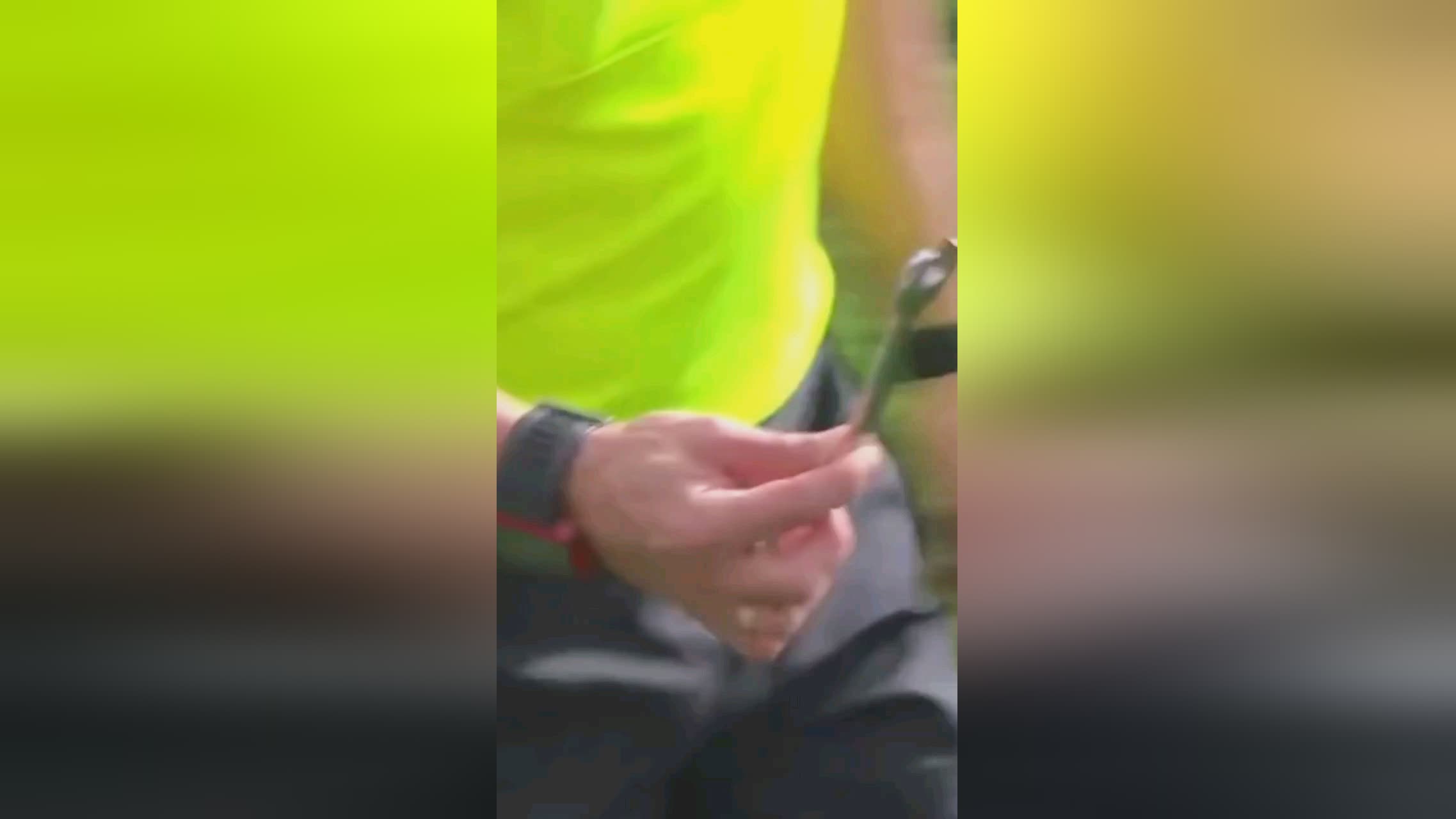 德之
